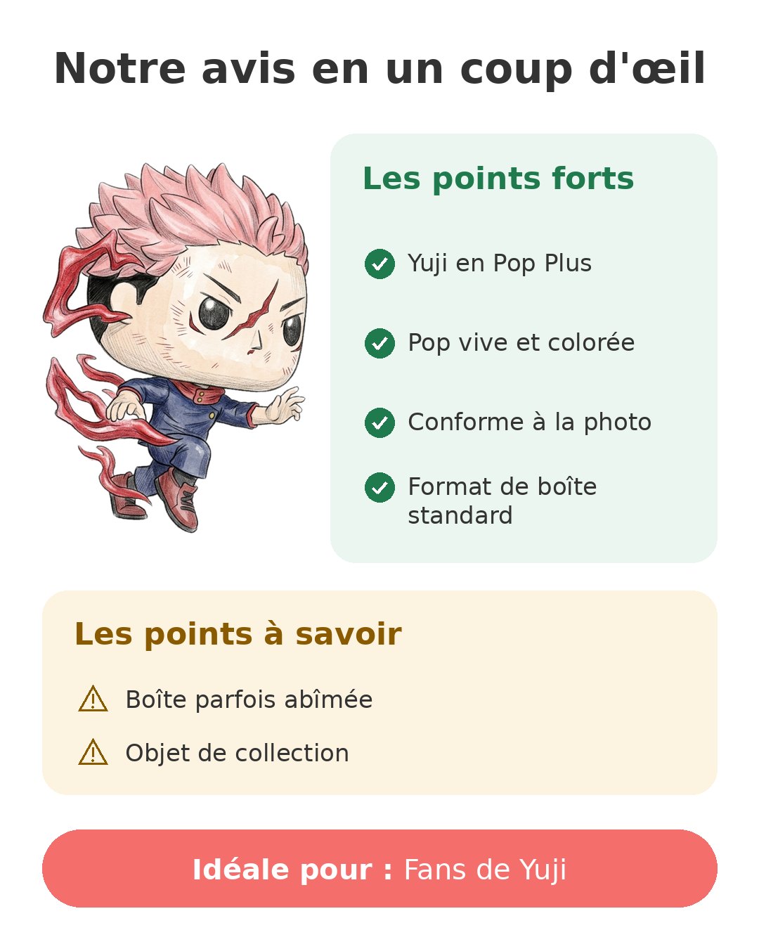 Notre avis en un coup d'œil sur Pop Plus Yuji