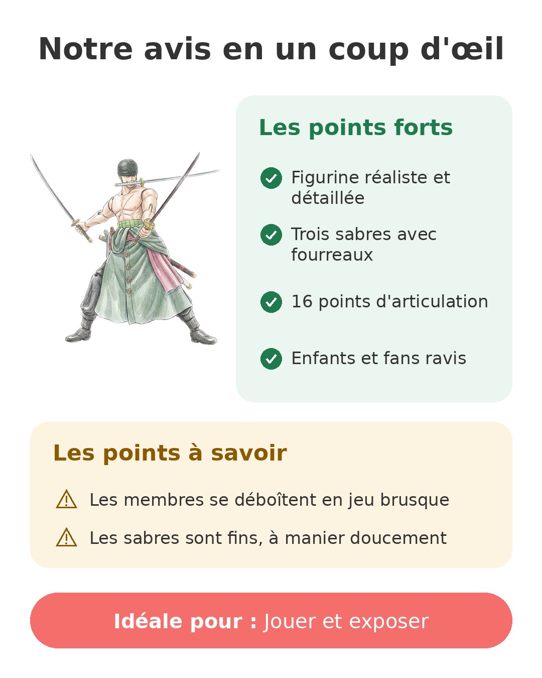 Notre avis en un coup d'œil sur Zoro Anime Heroes