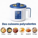 Cuiseur-a-riz-electrique-2-a-3-personnes-technique-2525