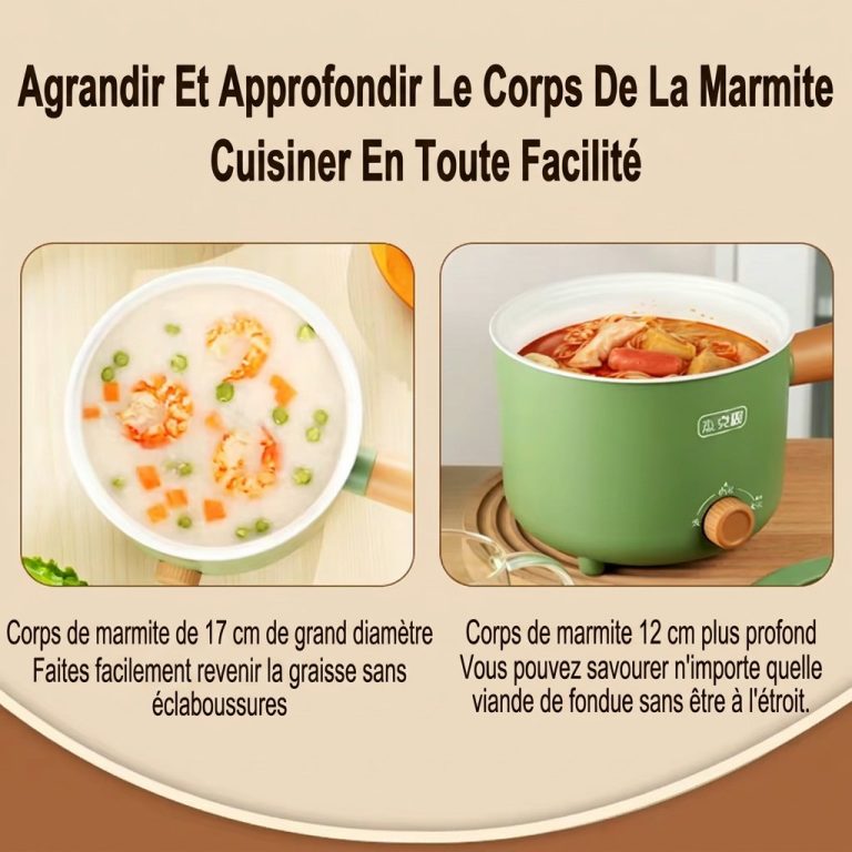 Mini-autocuiseur-a-riz-electrique-technique-9590
